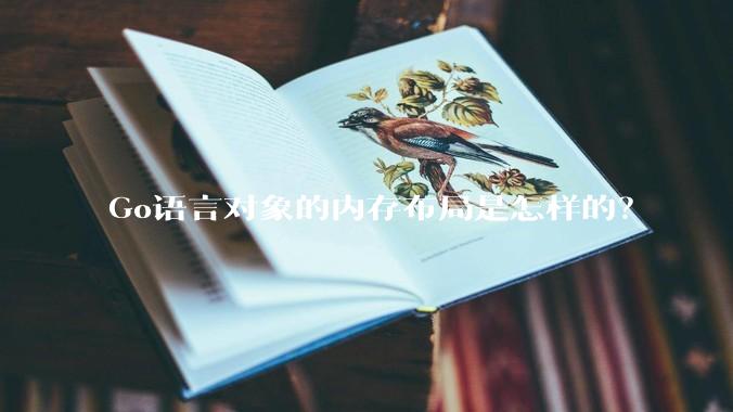 Go语言对象的内存布局是怎样的？